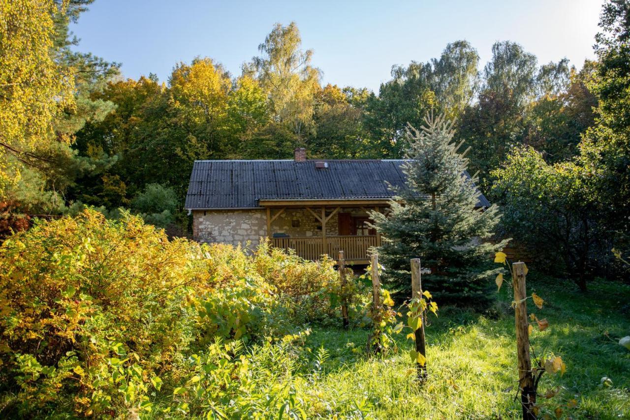 Agroturystyka Siedlisko Wydry - Dom W Srodku Lasu Wierzchoniow Exterior photo